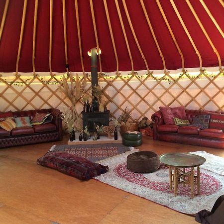 Silver Airstream Glamping & Rental Chichester Ngoại thất bức ảnh