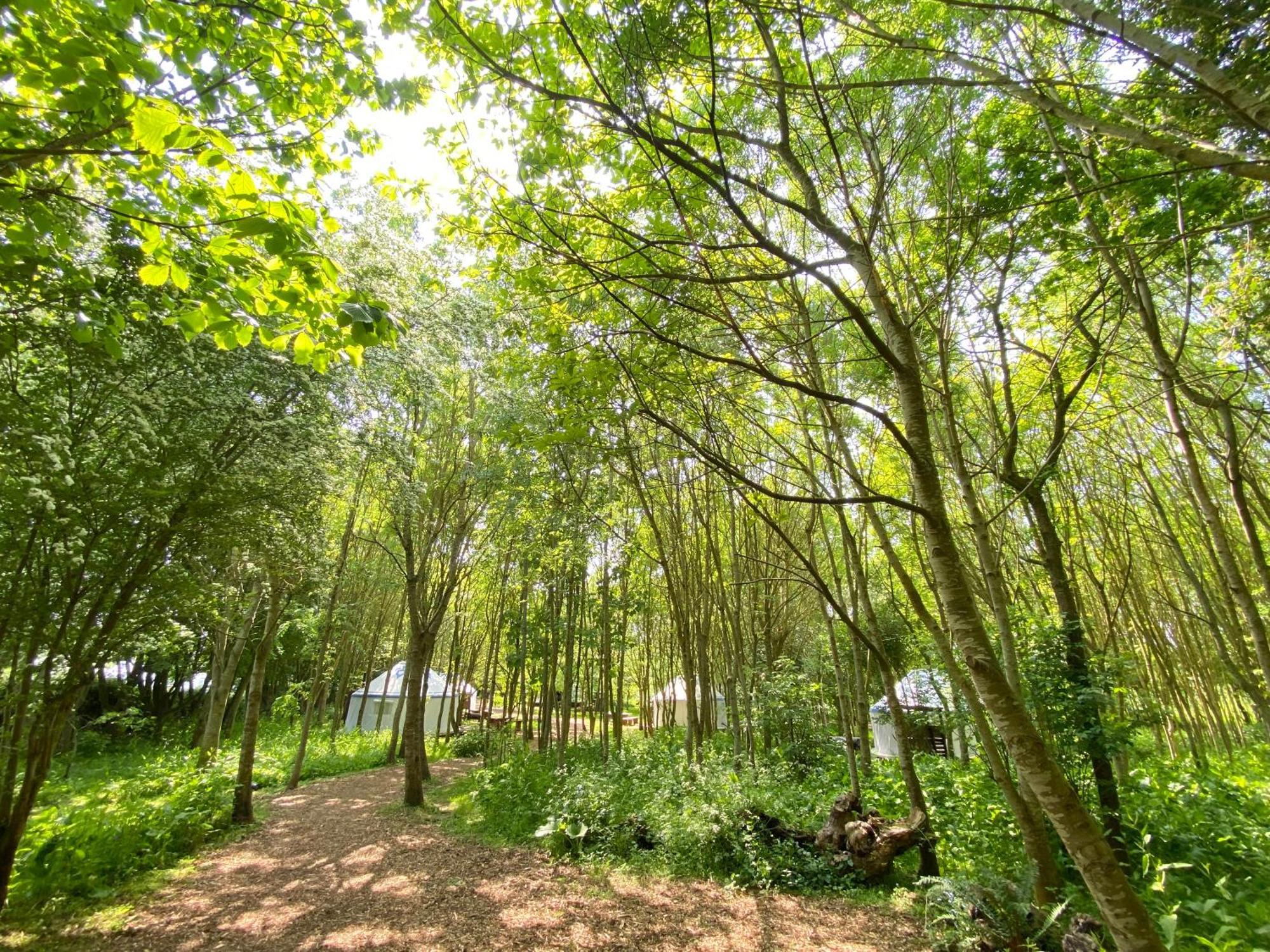 Silver Airstream Glamping & Rental Chichester Ngoại thất bức ảnh
